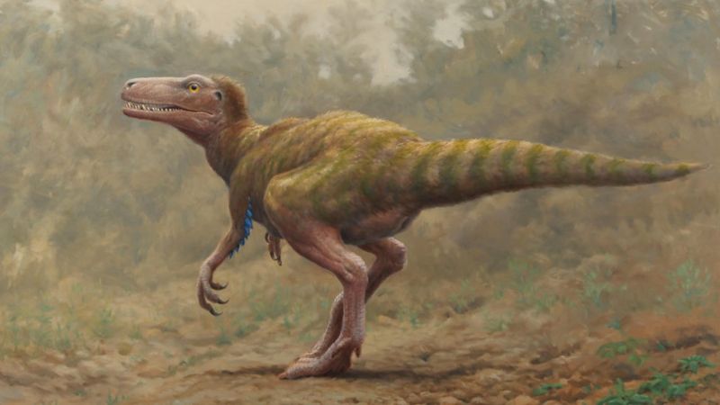 Найденные в Ирландии кости динозавров принадлежат разным видам.Вокруг Света. Украина