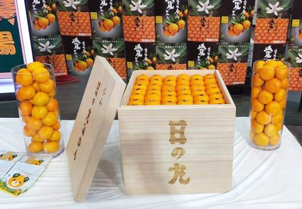 На аукционе в Японии ящик мандаринов продали за $9600