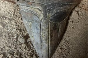 В доисторическом болгарском поселении нашли маску бога соли