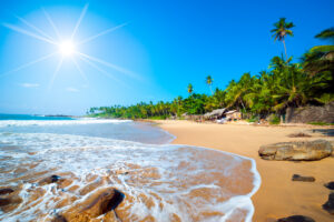 Новогодний сюрприз: открылась Шри-Ланка. Чем заняться на райском острове?
