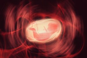 В плаценте еще не родившихся детей нашли микропластик