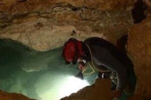 В ядовитой пещере в Румынии обнаружили новый вид животных