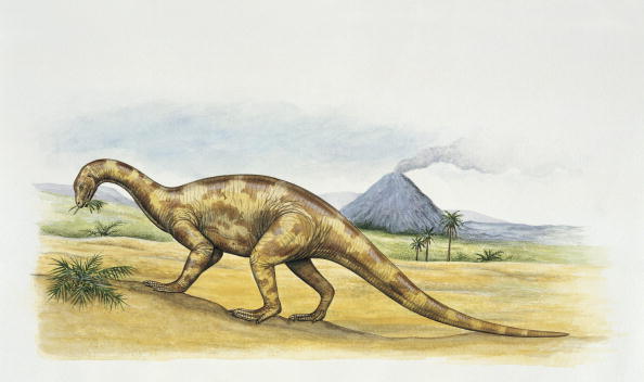 Бристольский динозавр ел мясо и ходил на двух ногах.Вокруг Света. Украина