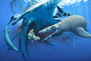 В Марокко обнаружен неизвестный вид мозазавра с акульими зубами