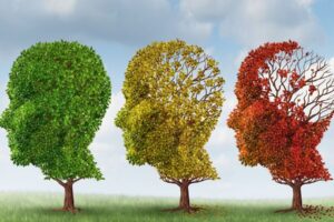 Ученые впервые идентифицировали участки мозга, наиболее уязвимые к болезни Альцгеймера