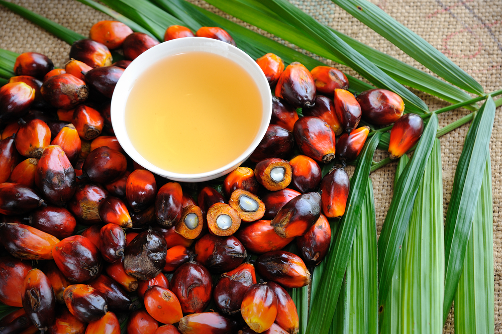 Пальмовое масло: вред, польза и стоит ли его бояться?.Вокруг Света. Украина