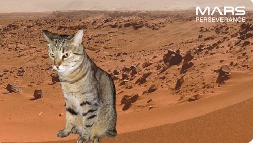 NASA предлагает желающим почувствовать себя на Марсе.Вокруг Света. Украина