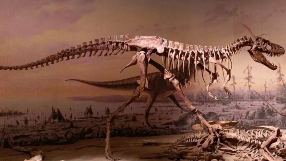 Гиганты и малютки: почему не было динозавров среднего размера?.Вокруг Света. Украина