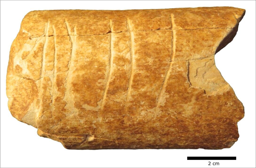 В Израиле нашли эмодзи возрастом 120 тысяч лет.Вокруг Света. Украина