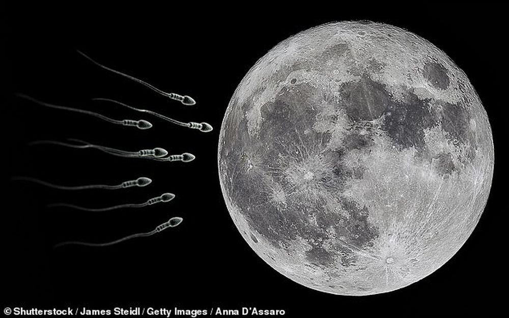 Зачем на Луне планируют построить банк спермы
