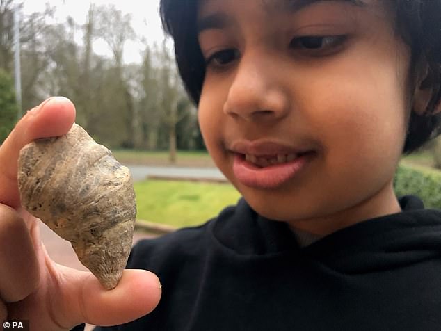 6-летний британец нашел в саду артефакт возрастом до 500  млн лет.Вокруг Света. Украина