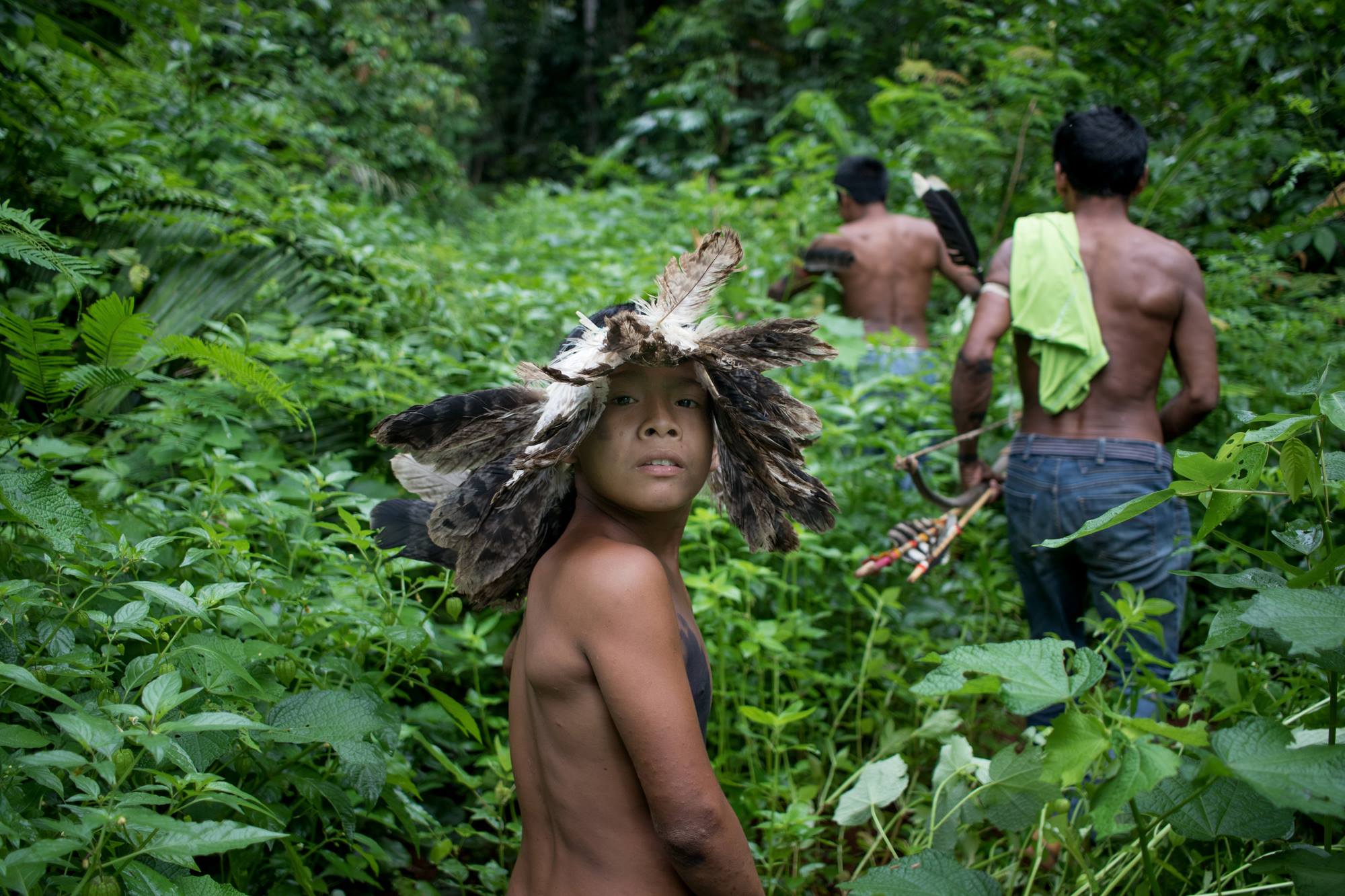 Участки тропических лесов Амазонии незаконно продают на Facebook