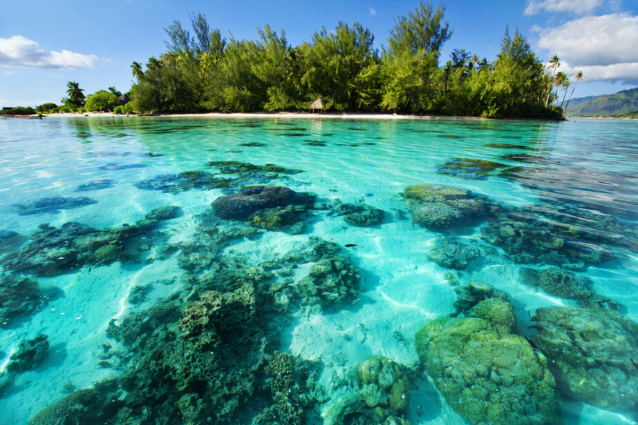 Самое опасное море в мире картинки