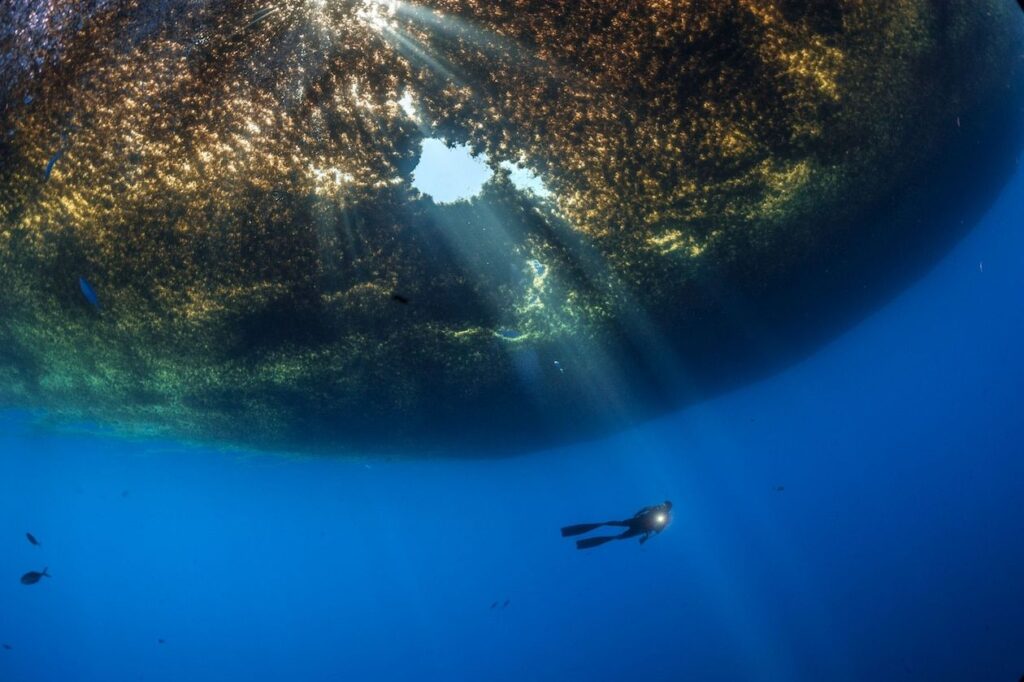 Саргассово море без берегов фото