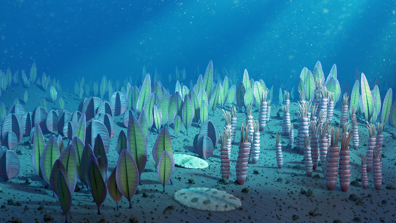 Люди имеют гены морских чудовищ возрастом 500 млн лет