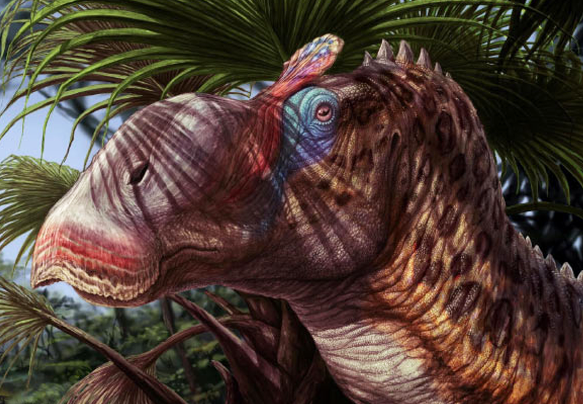 В Нью-Мексико открыли новый вид утконосых динозавров.Вокруг Света. Украина