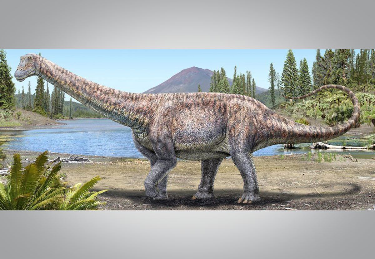 «Кости Атакамы»: в Чили открыли новый вид титанозавра