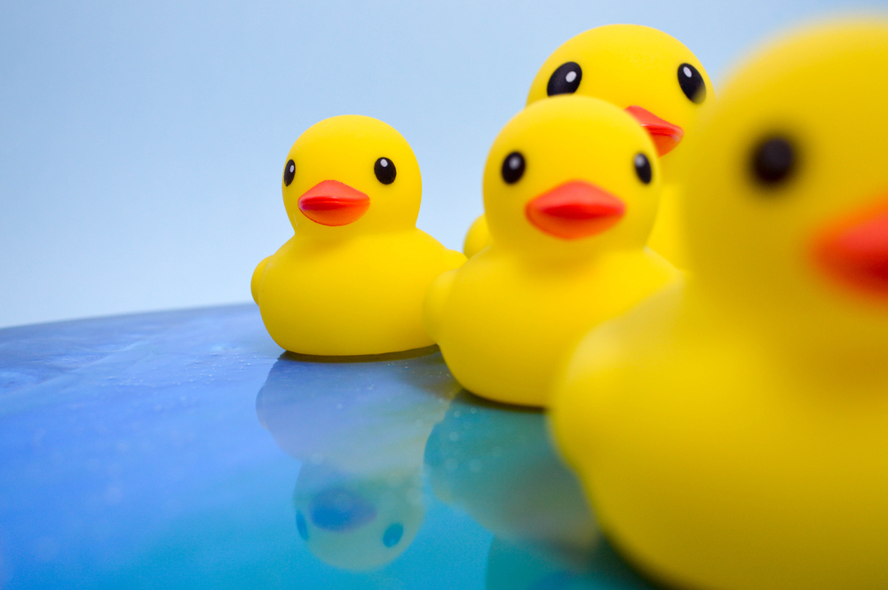 Желтые утята: как потерянные игрушки для ванны помогли уточнить карту морских течений.Вокруг Света. Украина
