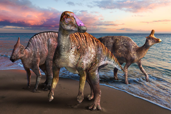 В Японии обнаружили неизвестный вид гадрозавра