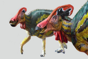 В Мексике открыли новый вид общительного динозавра с красным гребнем