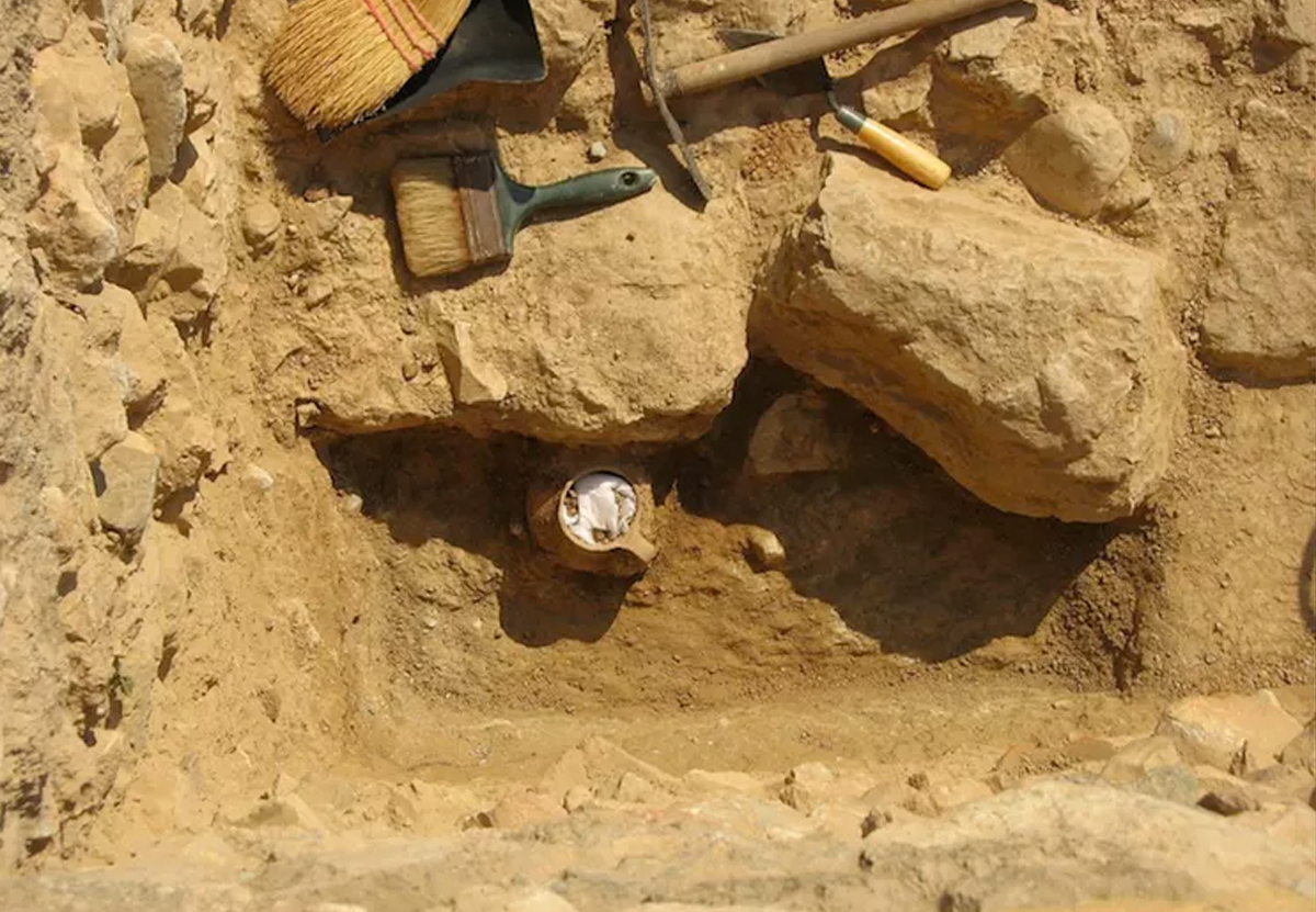 В Афинах раскопали кувшин проклятий с костями цыпленка