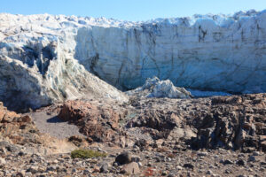 Тающие ледники Гренландии загрязняют экосистему шокирующим количеством ртути