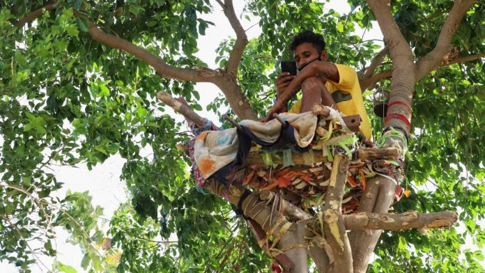 Больной COVID-19 индиец переселился на дерево.Вокруг Света. Украина