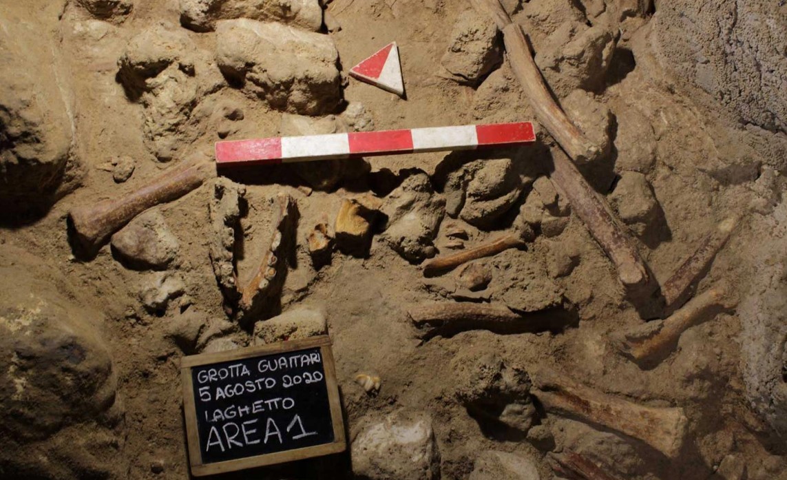 В Италии нашли останки 9 неандертальцев, съеденных гиенами.Вокруг Света. Украина