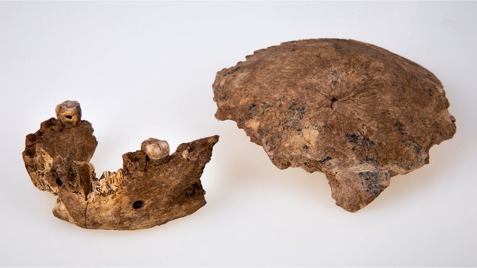 Найденные в Израиле останки могут принадлежать новому виду древних людей.Вокруг Света. Украина