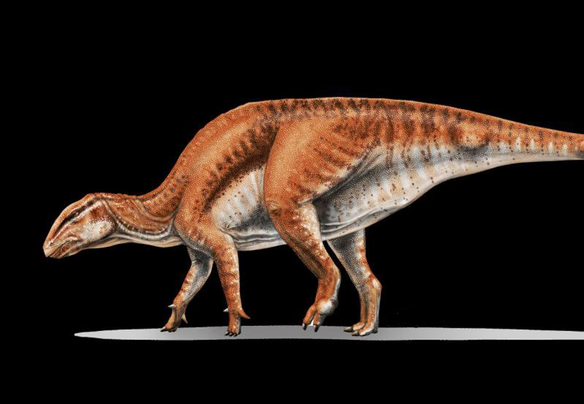 Динозавр мелового периода страдал артритом, как человек.Вокруг Света. Украина