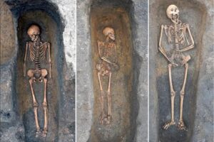 Умерших от чумы хоронили с почтением – археологи