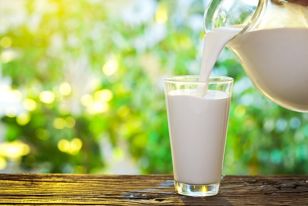 Частое употребление молока не повышает уровень холестерина