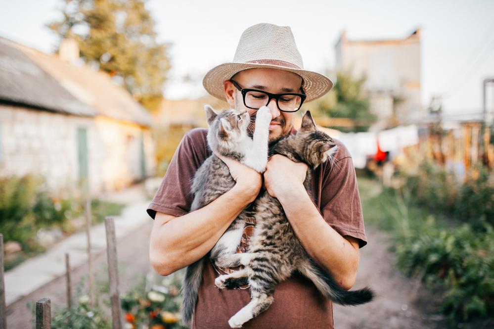 Какой вы котолюб: зоопсихологи выявили 5 типов отношений между кошками и их хозяевами.Вокруг Света. Украина
