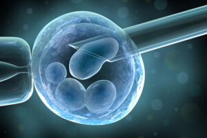 Эмбрионы способны омолаживать клетки
