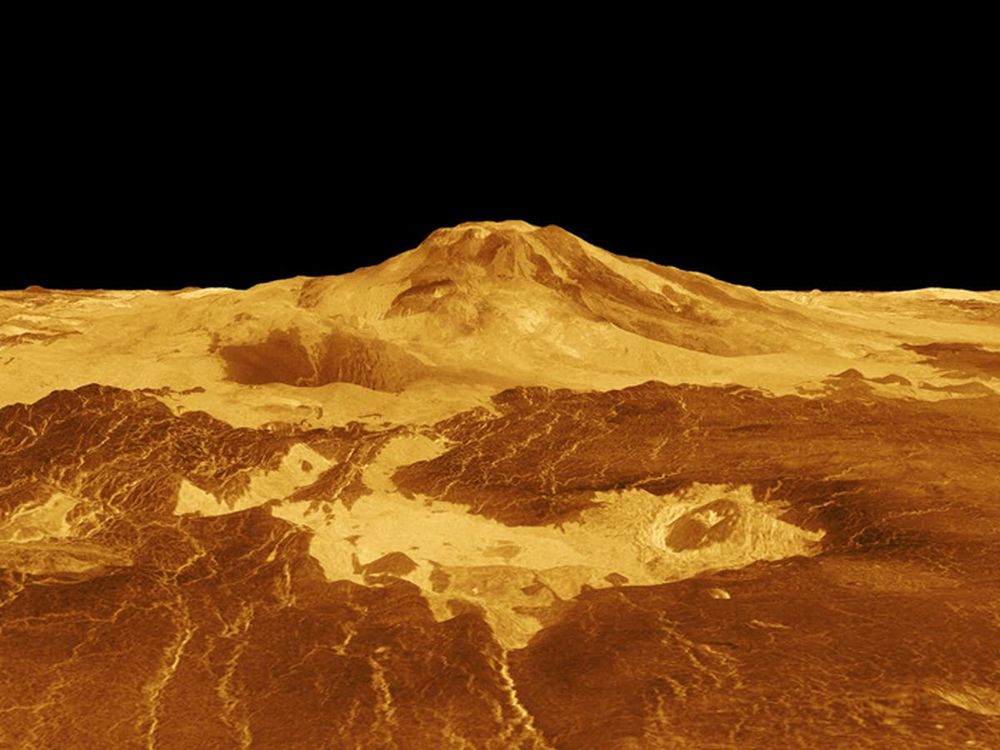Как NASA будет искать жизнь на Венере, и какие признаки жизни там могут быть?.Вокруг Света. Украина