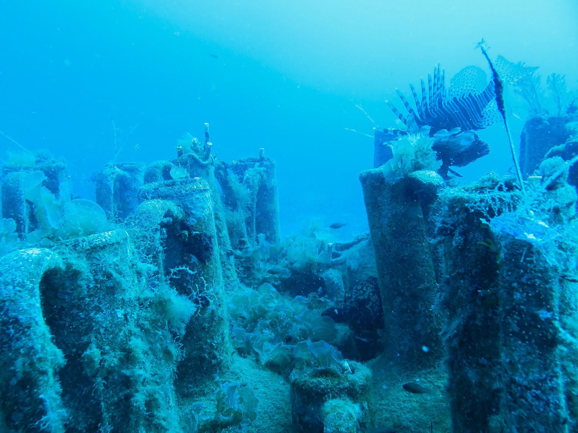 Дайвинг-туризм: на Кипре для ныряльщиков откроют древнюю гавань