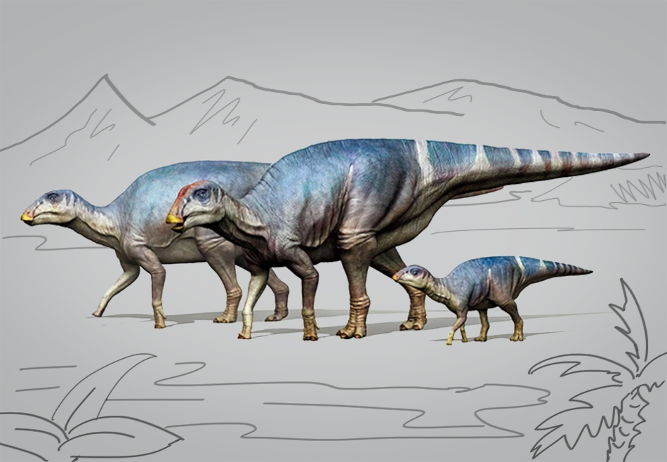 На пляже в Японии обнаружили окаменелость неизвестного гадрозавра.Вокруг Света. Украина