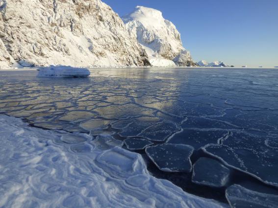 В Антарктиде официально зарегистрировали очередной температурный рекорд.Вокруг Света. Украина