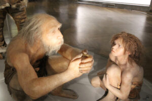 Неандертальцы вымерли из-за массовой гибели новорожденных