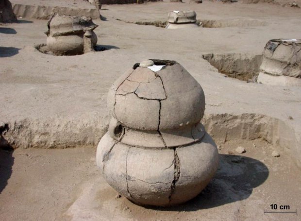 В Венгрии археологи реконструировали жизнь кремированной в древности женщины