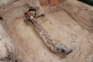 Археологи исследуют редкое захоронение викингов на Оркнеях