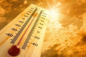 Смертность от аномальной жары выросла в мире на 74 процента