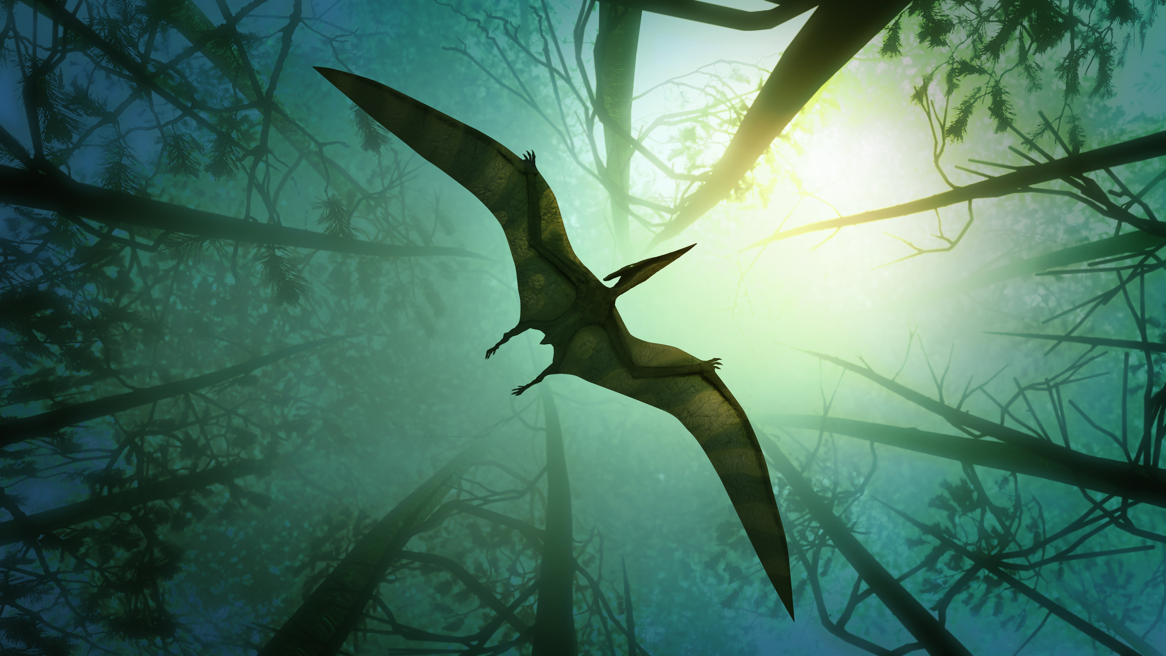 Грозный дракон был самой крупной летающей рептилией древней Австралии.Вокруг Света. Украина