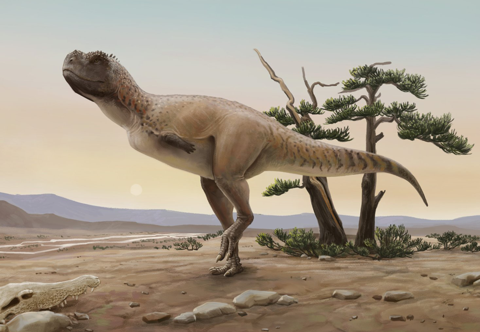 В Бразилии обнаружен неизвестный хищный динозавр: ему 70 млн лет.Вокруг Света. Украина