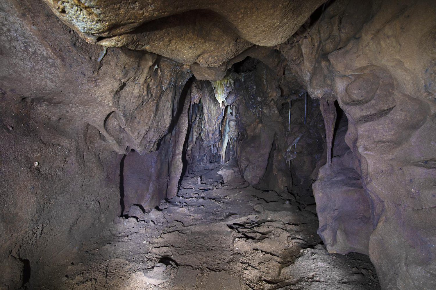 На Гибралтаре нашли пещеру, засыпанную вместе с обитателями 40 тысяч лет назад.Вокруг Света. Украина