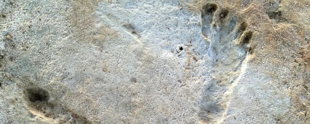 Обнаружены самые ранние следы человека в Северной Америке - им 23 тысячи лет.Вокруг Света. Украина