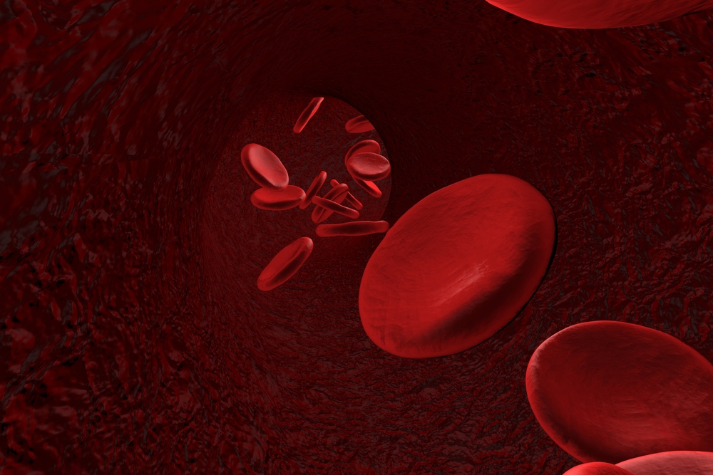Кровеносная система человека: интересные факты о крови и сердце.Вокруг Света. Украина
