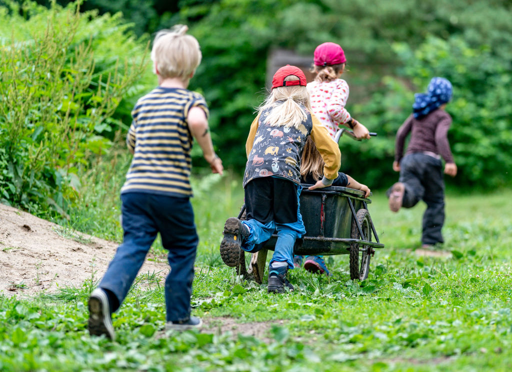 Как укрепить иммунитет ребенка всего за месяц? Финны советуют возиться с растениями в школьном садике.Вокруг Света. Украина