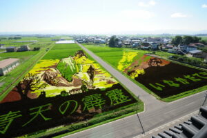 Как жители маленького городка в Японии превратили рисовые поля в живописные шедевры