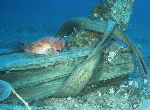 На дне моря в Италии нашли два тарана времен Пунических войн.Вокруг Света. Украина